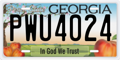 GA license plate PWU4024