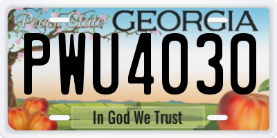 GA license plate PWU4030