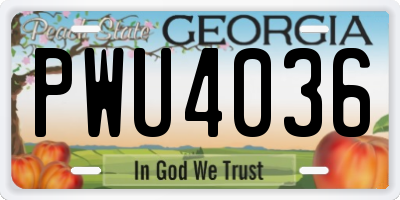 GA license plate PWU4036
