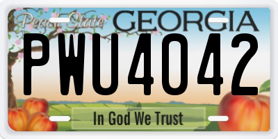 GA license plate PWU4042