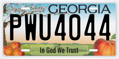 GA license plate PWU4044