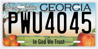 GA license plate PWU4045
