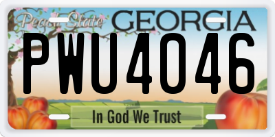 GA license plate PWU4046
