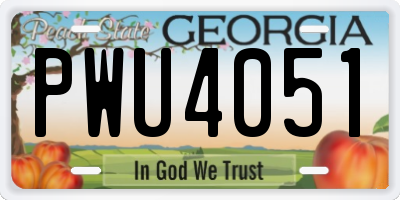 GA license plate PWU4051
