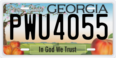 GA license plate PWU4055