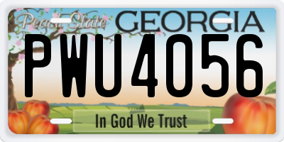 GA license plate PWU4056
