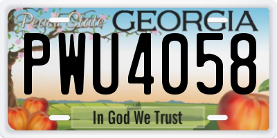 GA license plate PWU4058