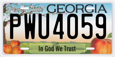 GA license plate PWU4059
