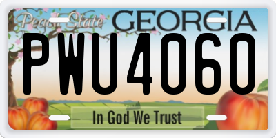 GA license plate PWU4060