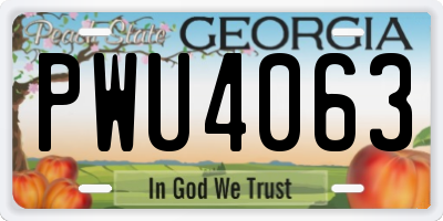 GA license plate PWU4063