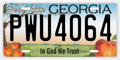 GA license plate PWU4064