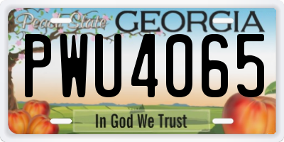 GA license plate PWU4065