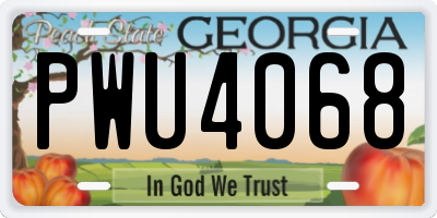 GA license plate PWU4068