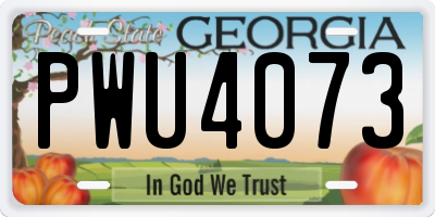 GA license plate PWU4073