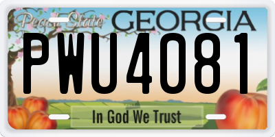 GA license plate PWU4081