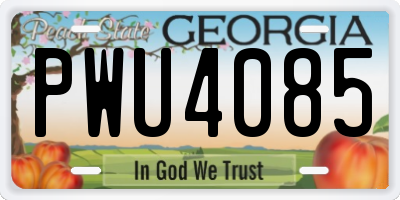 GA license plate PWU4085
