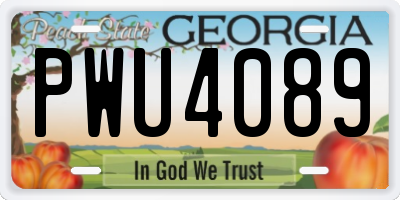 GA license plate PWU4089