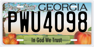 GA license plate PWU4098