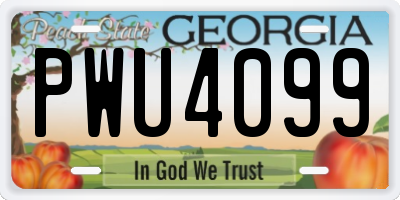 GA license plate PWU4099