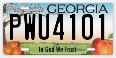 GA license plate PWU4101