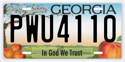 GA license plate PWU4110