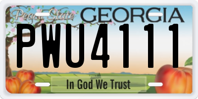 GA license plate PWU4111