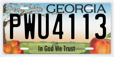 GA license plate PWU4113