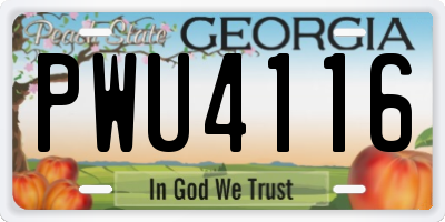GA license plate PWU4116