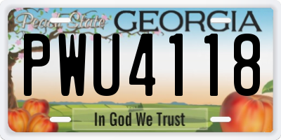 GA license plate PWU4118