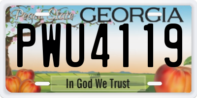 GA license plate PWU4119