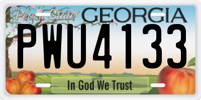 GA license plate PWU4133