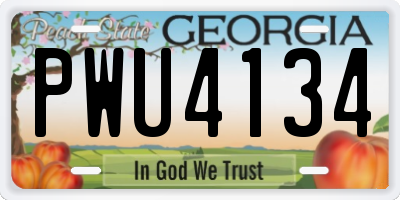 GA license plate PWU4134
