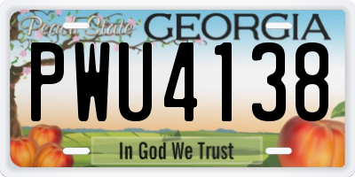 GA license plate PWU4138
