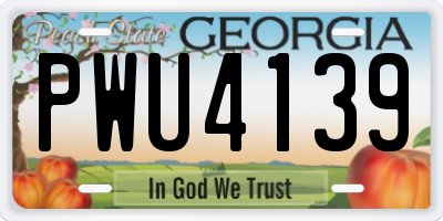GA license plate PWU4139