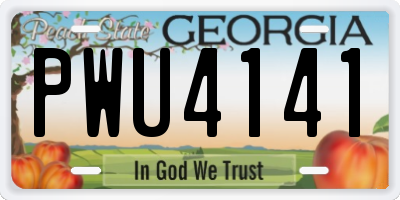 GA license plate PWU4141