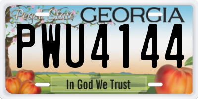 GA license plate PWU4144