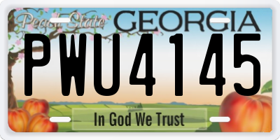 GA license plate PWU4145