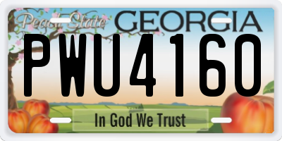 GA license plate PWU4160
