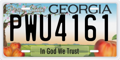 GA license plate PWU4161