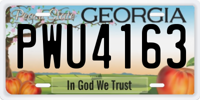 GA license plate PWU4163