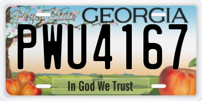 GA license plate PWU4167