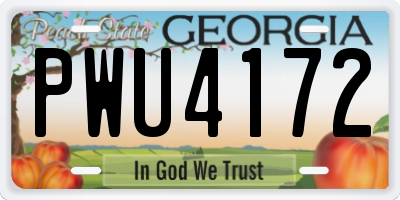 GA license plate PWU4172