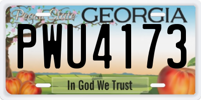 GA license plate PWU4173