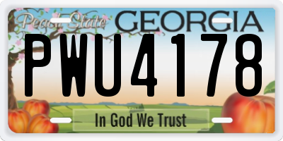 GA license plate PWU4178