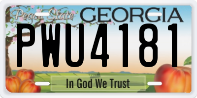 GA license plate PWU4181