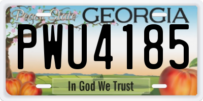 GA license plate PWU4185