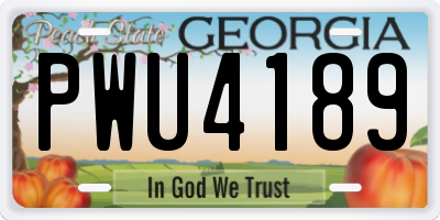GA license plate PWU4189