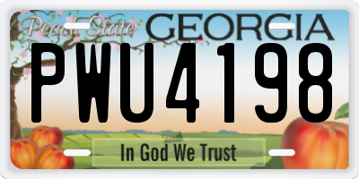 GA license plate PWU4198