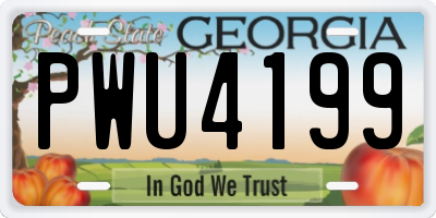 GA license plate PWU4199