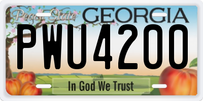 GA license plate PWU4200